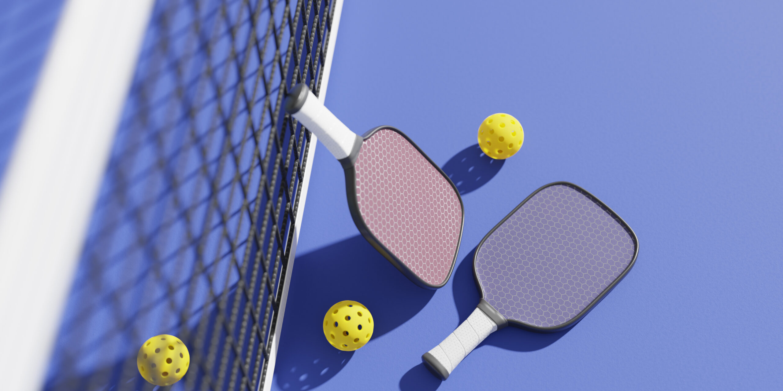 Pickleball on the Lawn